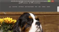 Desktop Screenshot of domusaventina.com